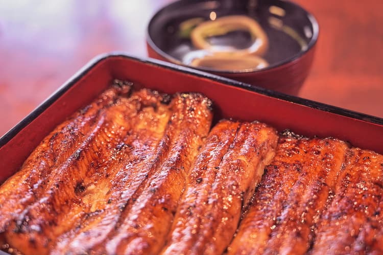 New Standards for eels
